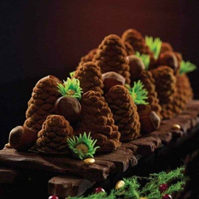 moule silicone ananas forme buche